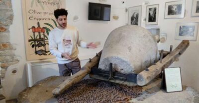 Half-Day Guided History and Culture Sightseeing Tour