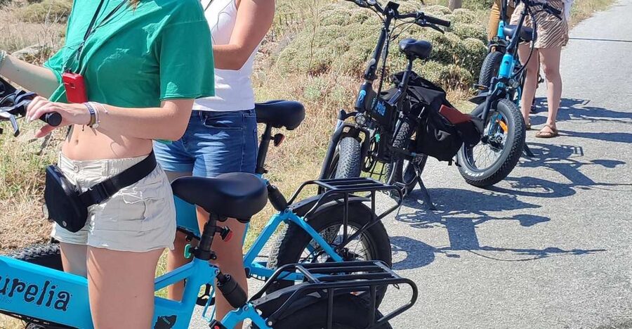 Naxos: Private E-Bike Tour with Farm Lunch - Is $218 a fair price?