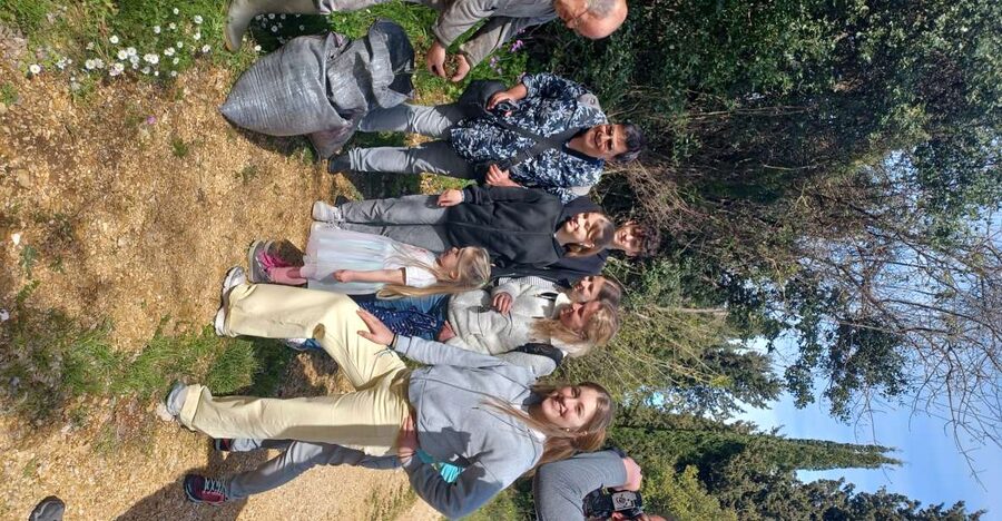 North Corfu: Olive Tour with Olive Oil Tasting and Mezze - Should you book Elaion Private Tours?