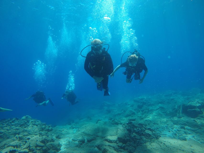 Oia: 2 Guided Scuba Dives off Santorini for Certified Divers - Key points at a glance