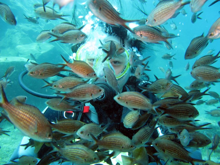 Oia: 2 Guided Scuba Dives off Santorini for Certified Divers - Should you book the Atlantis Oia scuba outing?