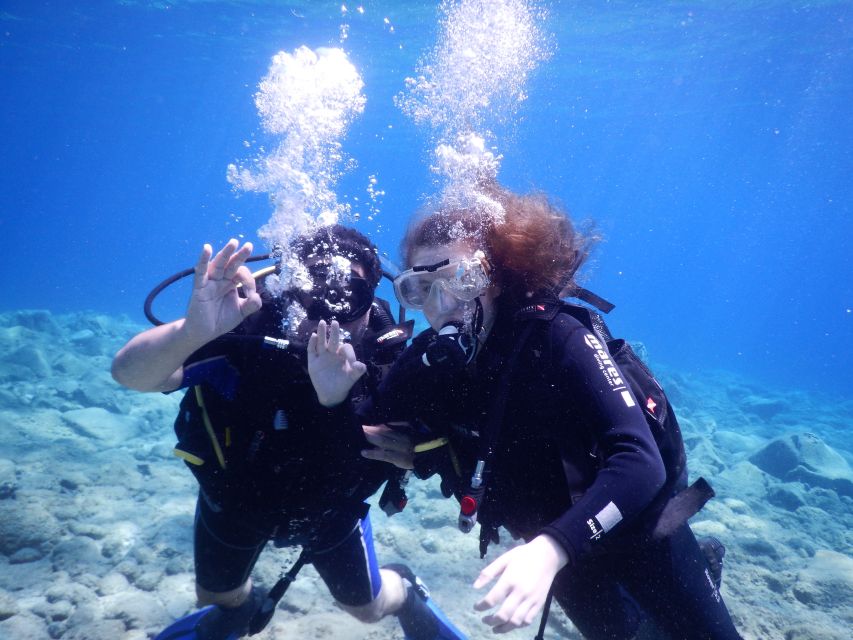 Oia: 2 Guided Scuba Dives off Santorini for Certified Divers - Two underwater sessions around the Caldera