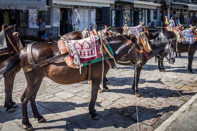 One Day Cruise to Hydra, Poros and Aegina from Athens - Hydra: Cobblestones, Donkeys, and the Best Island Stop