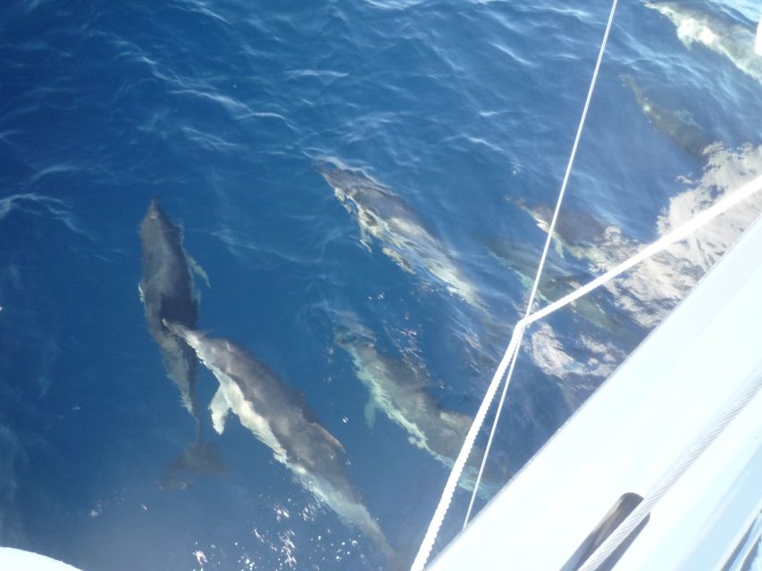 Paros: Iraklia, Schinoussa, & Naxos Sailing Tour with Lunch - Who will enjoy this Paros sailing tour