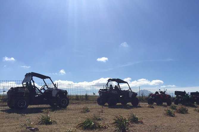 Polaris Buggy 4-Hour Safari from Rethymno Town - Is $204.25 good value for two people?