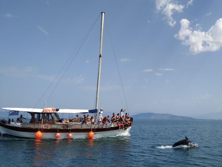 Preveza: Dolphin Watching Cruise with Lunch and Drinks - Setting out from Preveza