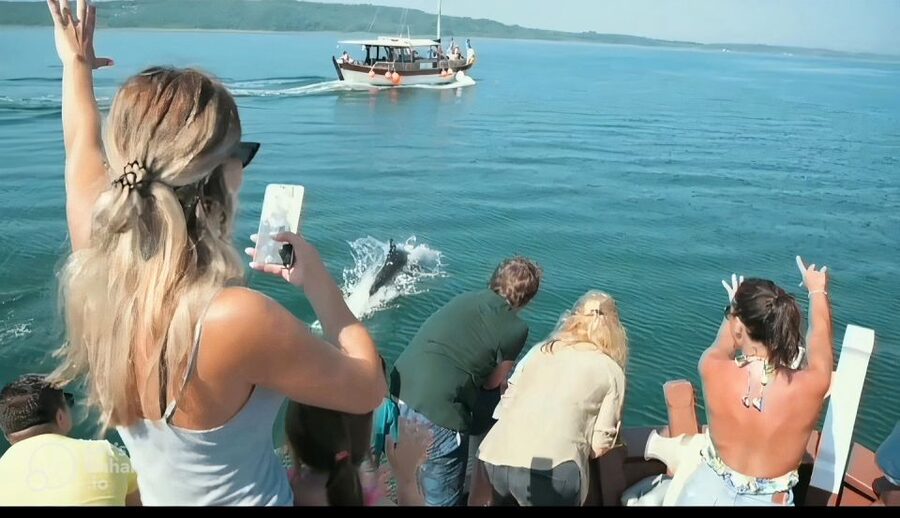 Preveza: Dolphin Watching Cruise with Lunch and Drinks - A swim stop in a quiet bay
