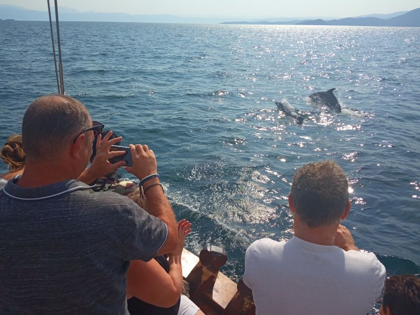 Preveza: Dolphin Watching Cruise with Lunch and Drinks - What the $70 price includes