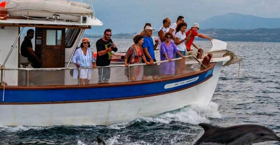 Preveza: Dolphin Watching Cruise with Lunch and Drinks - Who will enjoy this cruise most