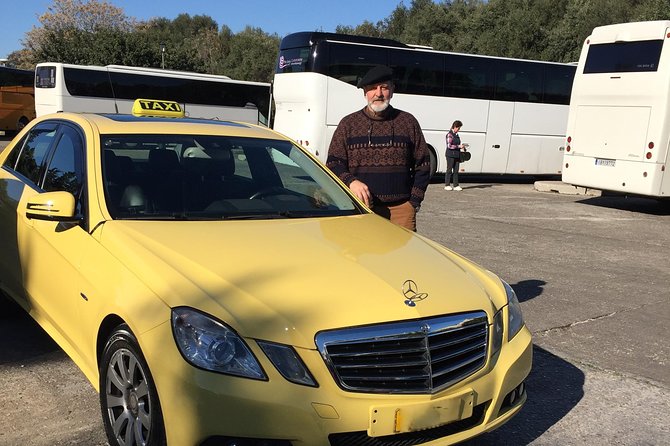 Private Arrival Transfer: Piraeus Cruise Port to Central Athens - Who should book this transfer?