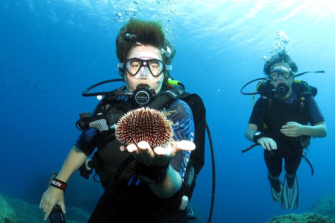 Private Discover Scuba Diving for Beginners in Athens with Pickup - Timing, transport, and your Athens plans