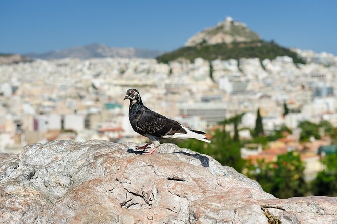 Private Luxury Biblical Tour: Apostle Paul in Athens & Corinth - A quiet church linked to Athens’ first convert