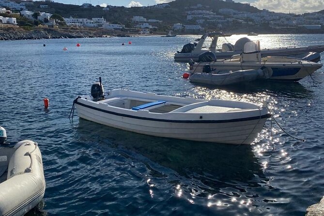 Private Tour: 4 Hours Mykonos Island Tour - Like a Local - Kalafatis and Kalo Livadi