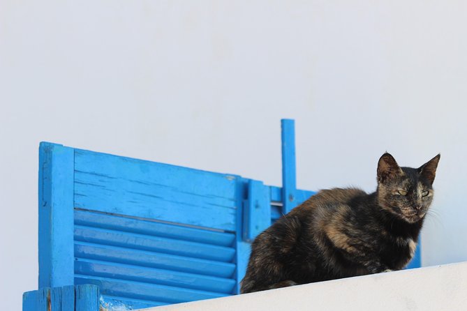 Private Tour: Mykonos Island in Half a Day - Kalo Livadi and the beach side of Mykonos