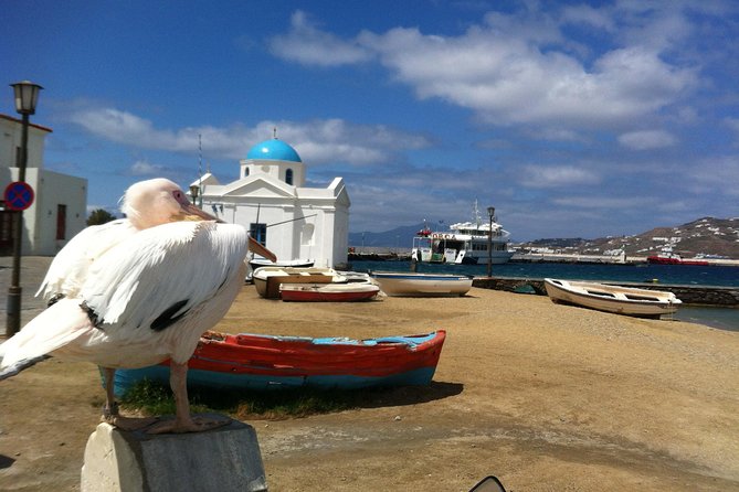 Private Tour: Mykonos Island in Half a Day - What the private format adds