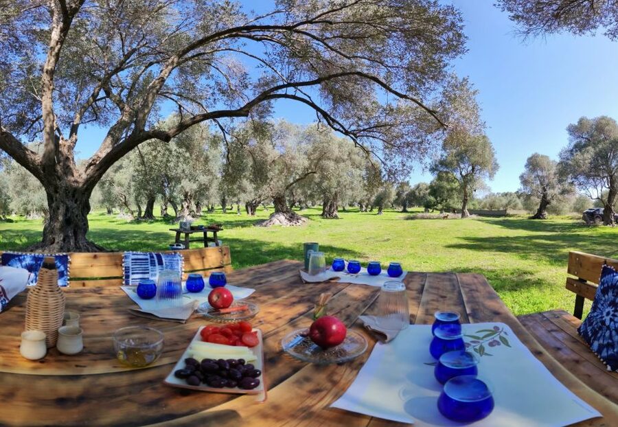 Rethymno: Olive Oil Tasting with Cretan Food Pairing - A four-course Cretan food pairing
