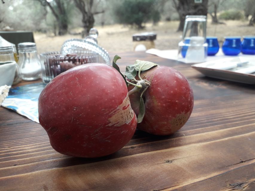 Rethymno: Olive Oil Tasting with Cretan Food Pairing - The mosquito warning is worth taking seriously