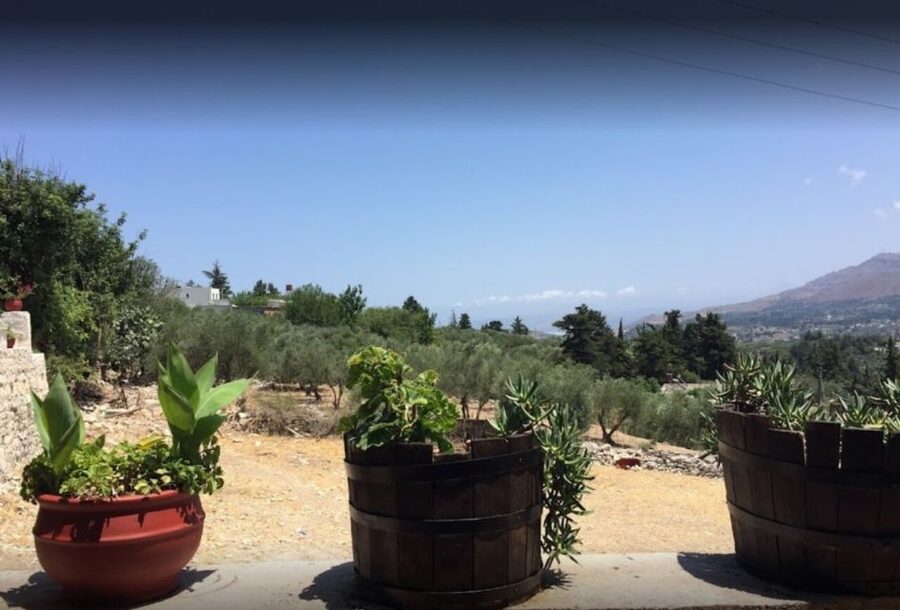 Rethymno: Private Winery & Olive Oil Tasting Tour with Lunch - A food-focused route beyond Rethymno