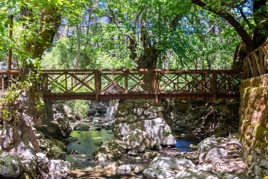 Rhodes: Butterfly Valley and Seven Springs Valley Day Trip - Who should book this nature trip?