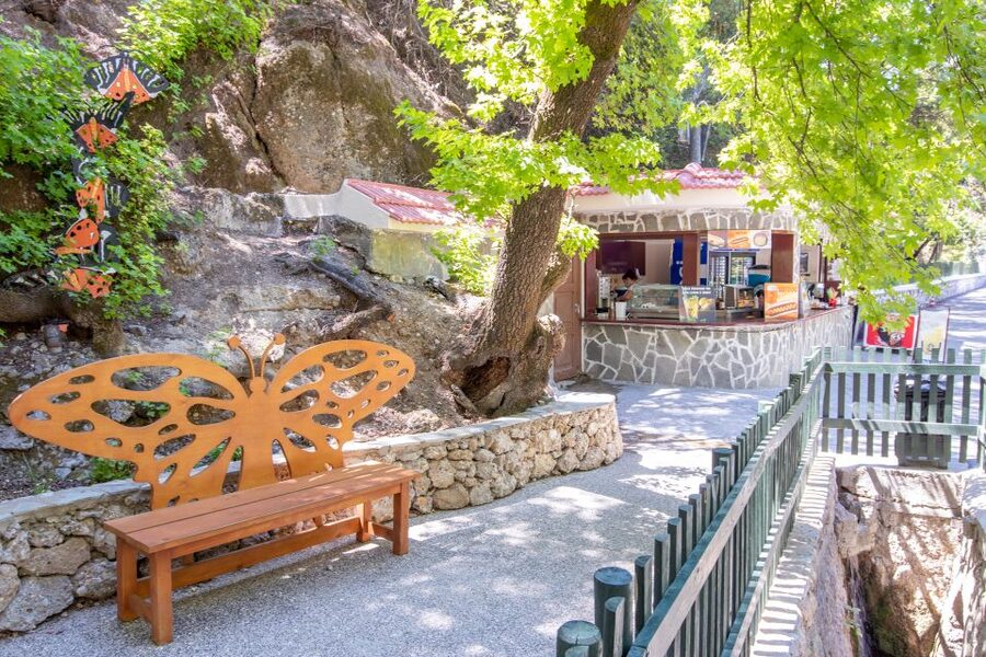 Rhodes: Butterfly Valley and Seven Springs Valley Day Trip - Should you book it?
