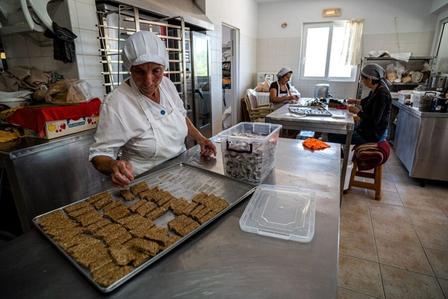 Rhodes: Cooking Lesson and Wine Tasting with Lunch - Local grape varieties at a small Rhodian winery