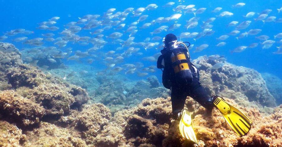 Rhodes: Diving Adventure for Beginners and Experts - Why this works well for nervous beginners