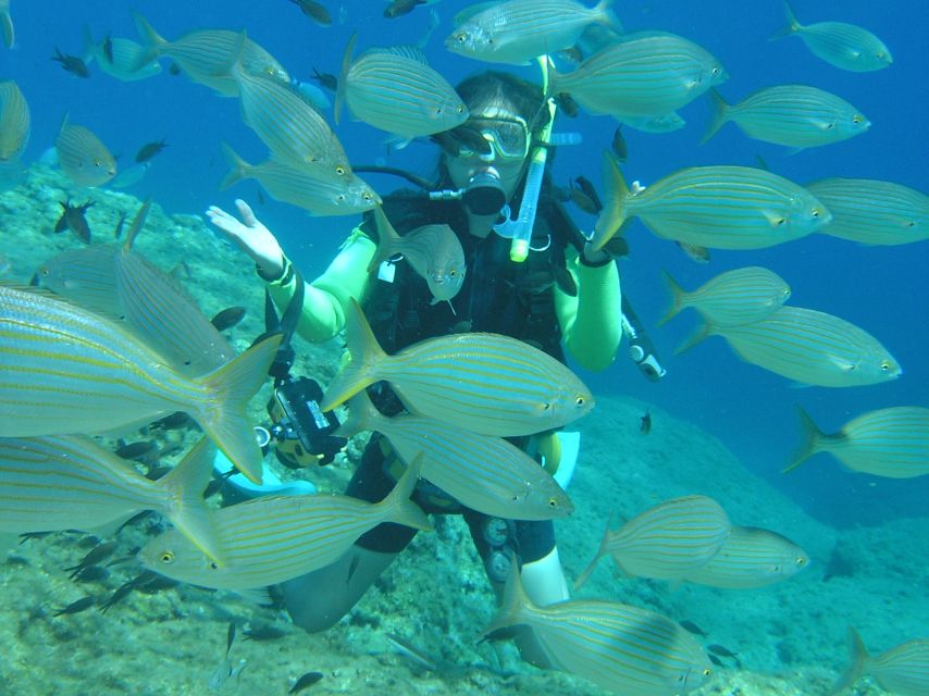 Rhodes: Diving Adventure for Beginners and Experts - Kalithea, snorkeling, and your first descent