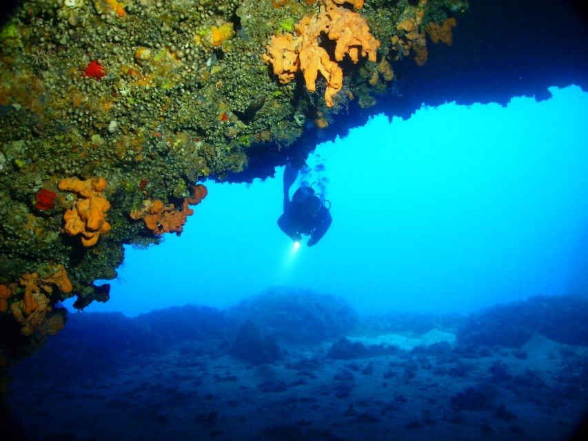 Rhodes: Diving Adventure for Beginners and Experts - What the $82 price really covers