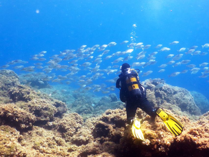 Rhodes: Diving Adventure for Beginners and Experts - From Mandraki Harbour to the water