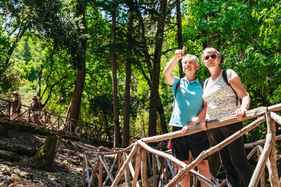Rhodes: Filerimos Hill and Butterfly Valley Bus Trip - Who should book this outing?