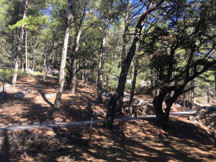 Rhodes: Full–Day 4WD Northern Safari Tour - From your hotel to Kolymbia and the first coffee stop