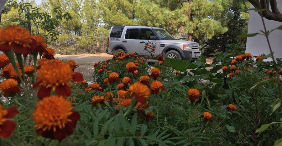 Rhodes: Full–Day 4WD Northern Safari Tour - The easy asphalt return to your hotel