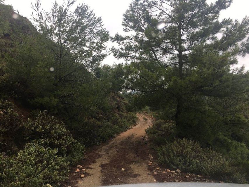 Rhodes: Full–Day 4WD Northern Safari Tour - How much value do you get for $135?