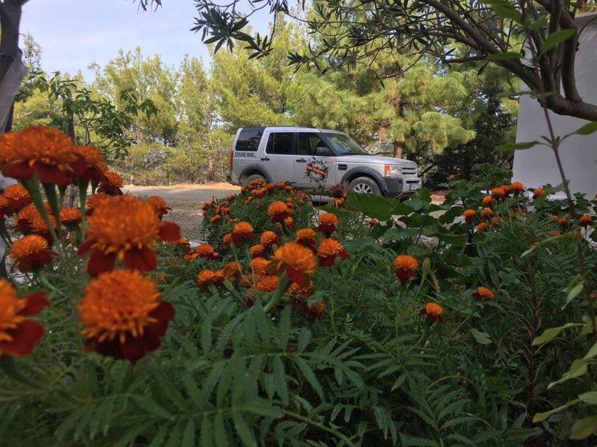 Rhodes: Full–Day 4WD Northern Safari Tour - Who should book this Rhodes safari?