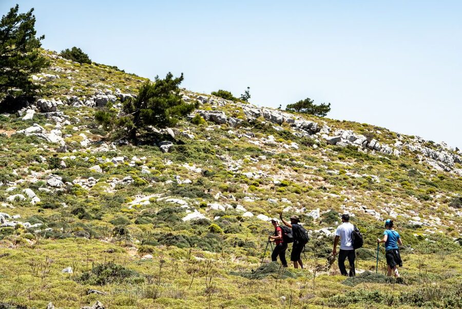 Rhodes: Hiking Tour to the Summit of Akramitis with Photos - The final rocky climb to Akramitis summit