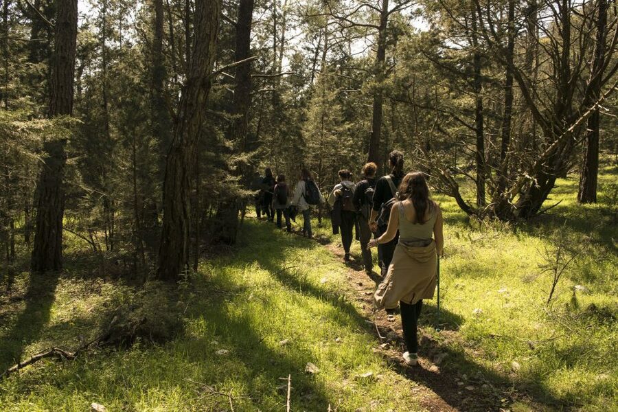 Rhodes: Hiking Tour to the Summit of Akramitis with Photos - Is the $66 price good value?