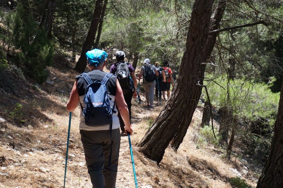 Rhodes: Hiking Tour to the Summit of Akramitis with Photos - The first 1.5 hours: green slopes above Apollakia