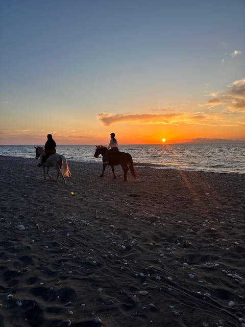 Rhodes: Horseback Riding Trip with Digital Photos - Reaching the beach on horseback