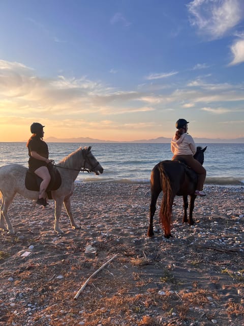 Rhodes: Horseback Riding Trip with Digital Photos - Why the horses matter to this experience