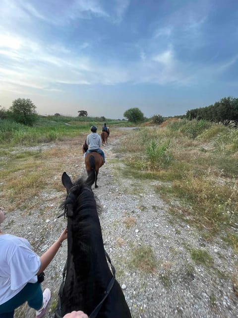Rhodes: Horseback Riding Trip with Digital Photos - Beginners, experienced riders, and children