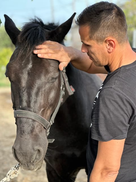 Rhodes: Horseback Riding Trip with Digital Photos - Is $90 a fair price?