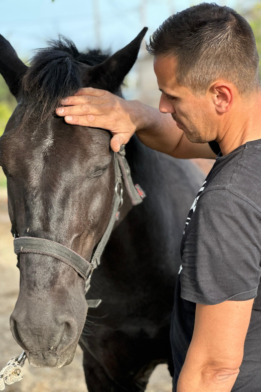Rhodes: Horseback Riding Trip with Digital Photos - Who should book this Rhodes ride?