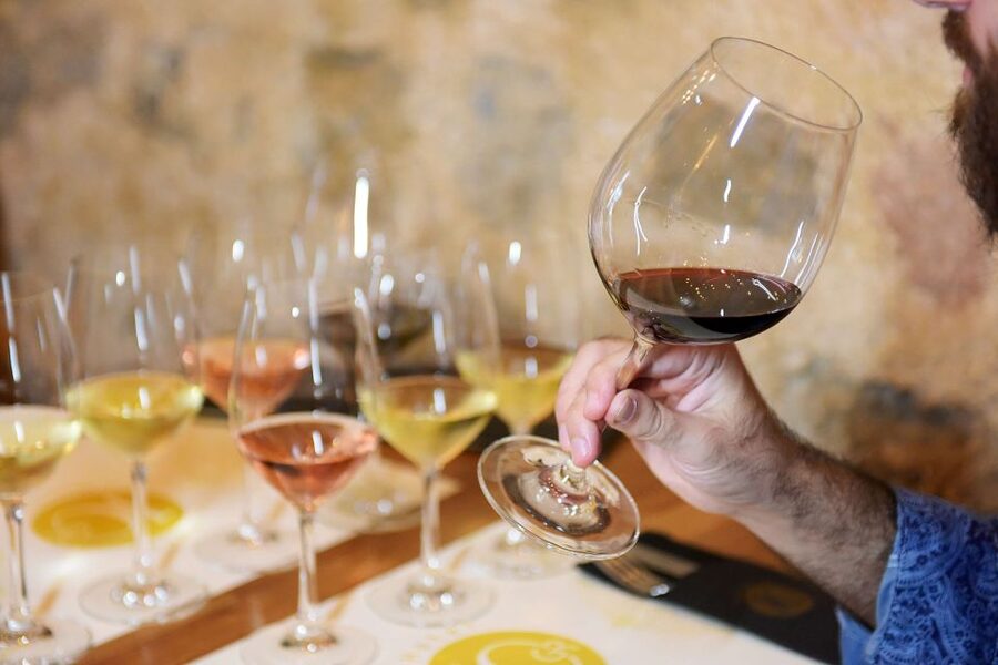 Rhodes: Private Wine Tasting Experience for Beginners - Timing, access, and who should book