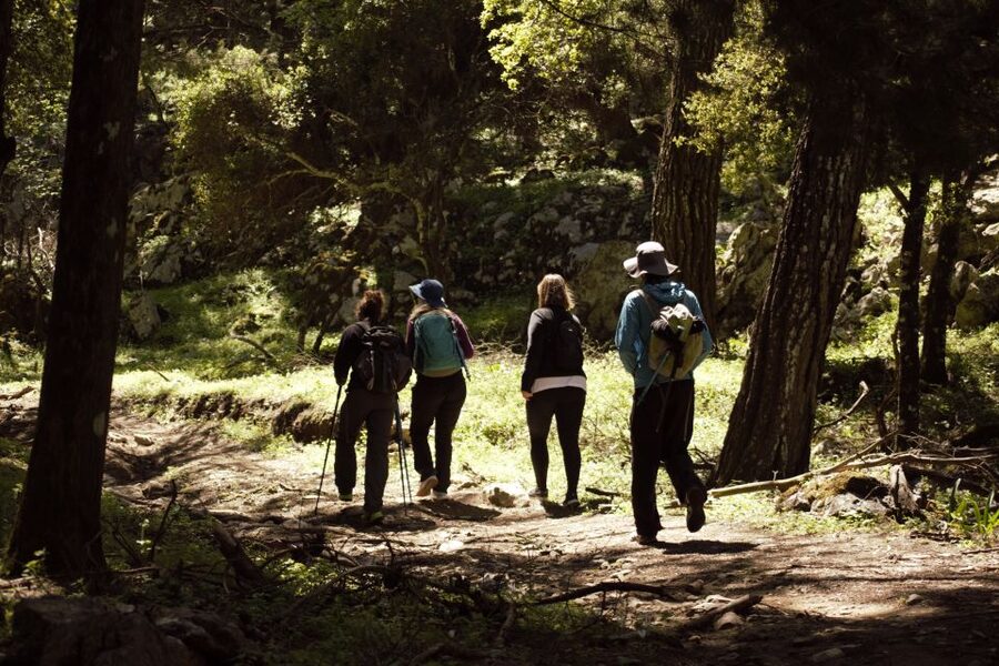 Rhodes: Profitis Ilias Guided Sunset Hike - Who should book this hike?