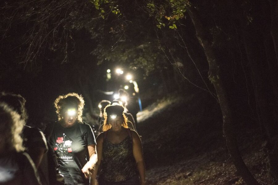 Rhodes: Profitis Ilias Guided Sunset Hike - The headlamp descent to Salakos