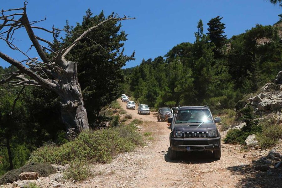 Rhodes: Self-Drive 4x4 Safari Tour with North Pickup - Villages, food, and the midday break