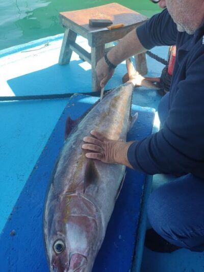 Rhodes Town: Fishing Boat Trip with Fish Meal and Swim Stops