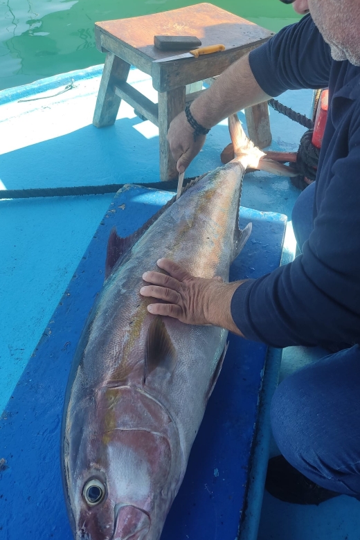 Rhodes Town: Fishing Boat Trip with Fish Meal and Swim Stops - How the $76 price compares