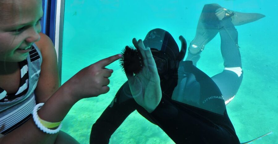 Rhodes Town: Yellow Submarine Cruise with Underwater Views - Mandraki Harbour in about 10 minutes