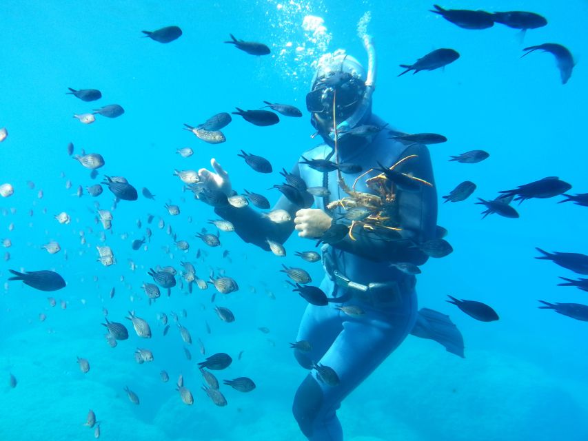 Rhodes Town: Yellow Submarine Cruise with Underwater Views - Boarding near Rhodes Courthouse